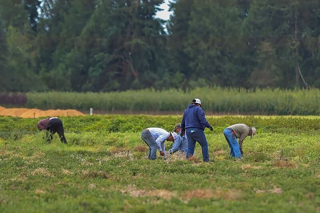 PCUN calls on immigrants, allies to strike from work, school Dec. 18 in ‘Day Without an Immigrant’ protest