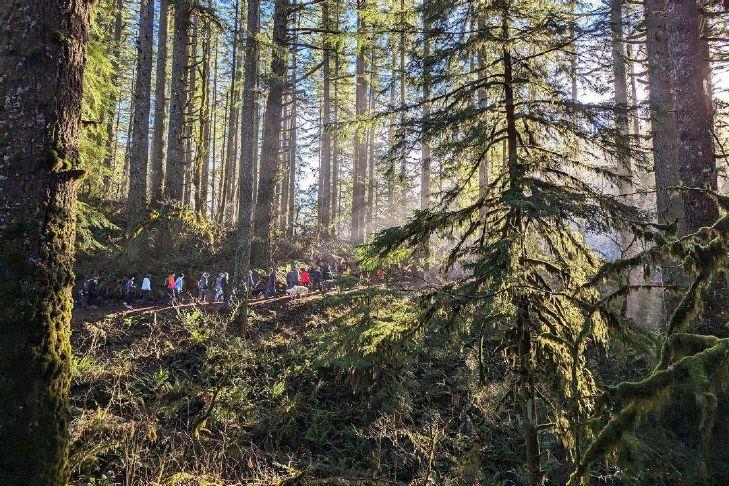Celebrate the new year with First Day Hikes at Oregon state parks